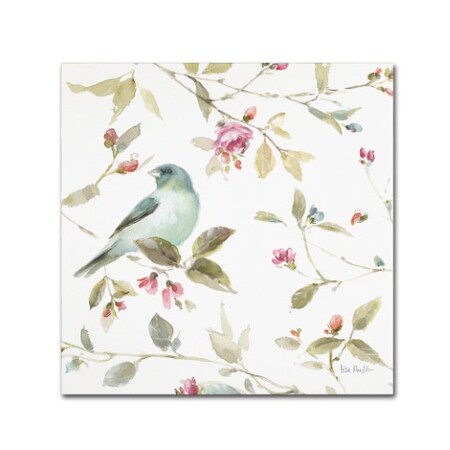 Trademark Fine Art Lisa Audit 'Beautiful Romance XVII' Canvas Art, 35x35 WAP00626-C3535GG